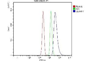 Flow Cytometry analysis of U937 cells using anti-SLAM/CD150/SLAMF1 antibody (ABIN7601376).