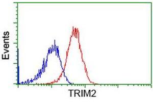 anti-Tripartite Motif Containing 2 (TRIM2) (AA 1-100), (AA 645-744) antibody