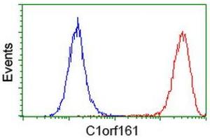 Flow cytometric Analysis of Hela cells, using anti-C1orf161 antibody (ABIN2454453), (Red), compared to a nonspecific negative control antibody, (Blue). (MAB21L3 anticorps)