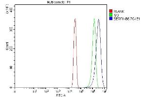 Flow Cytometry analysis of SiHa cells using anti-MASPIN antibody (ABIN7599298).