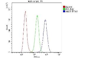 Flow Cytometry analysis of A431 cells using anti-TMEM16A antibody (ABIN6719430).