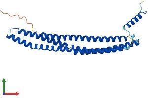 AlphaFold protein structure predicition of Mouse Recombinant Bin3 Protein, UniprotID Q9JI08