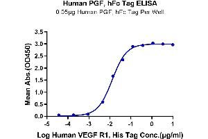 Immobilized Human PGF, hFc Tag at 0. (PLGF Protein (AA 19-221) (Fc Tag))