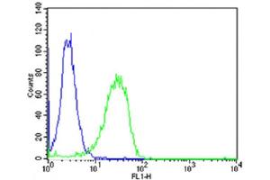 Flow cytometric analysis of Hela cells using MTTP Antibody (C-term)(green, Cat(ABIN6242904 and ABIN6577849)) compared to an isotype control of rabbit IgG(blue). (MTTP anticorps  (C-Term))