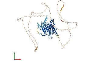 AlphaFold protein structure predicition of Mouse Recombinant Septin9 Protein, UniprotID Q80UG5