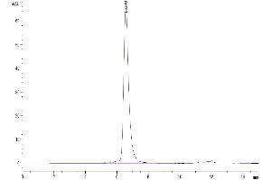The purity of  Human DLL4 is greater than 95 % as determined by SEC-HPLC.