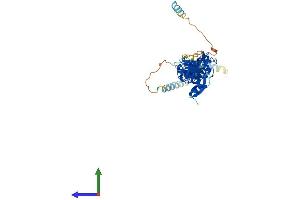 AlphaFold protein structure predicition of Human Recombinant LPXN Protein, UniprotID O60711