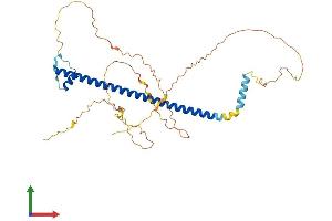 AlphaFold protein structure predicition of Mouse Recombinant Creb3l4 Protein, UniprotID Q9D2A5
