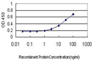 Detection limit for recombinant GST tagged C1GALT1 is approximately 0.