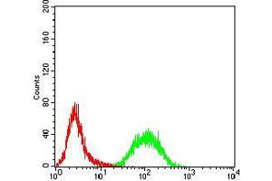 Flow cytometric analysis of K562 cells using Rab13 mouse mAb (green) and negative control (red).