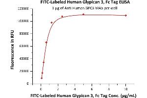 Immobilized A GPC3 MAb at 10 μg/mL (100 μL/well) can bind Fed Human Glypican 3, Fc Tag (ABIN6253194,ABIN6253527) with a linear range of 0.