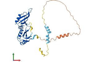 AlphaFold protein structure predicition of Human Recombinant TRNAU1AP Protein, UniprotID Q9NX07
