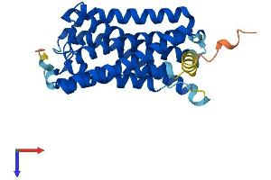 AlphaFold protein structure predicition of Human Recombinant RGR Protein, UniprotID P47804