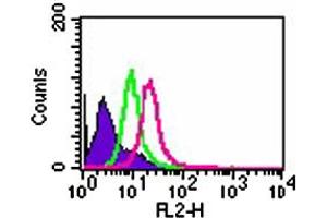 Intracellular flow analysis of TLR8 in 1x10^6 Ramos cells. (TLR8 anticorps  (AA 750-850))