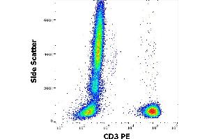 Flow cytometry surface staining pattern of human peripheral whole blood stained using anti-human CD3 (OKT3) PE antibody (10 μL reagent / 100 μL of peripheral whole blood). (CD3 anticorps  (PE))
