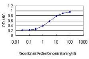 Detection limit for recombinant GST tagged MCM7 is approximately 0.