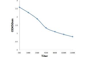Antigen: 0. (ARMC10 anticorps  (AA 131-240))