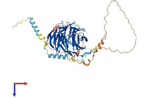 AlphaFold protein structure predicition of Mouse Recombinant Plrg1 Protein, UniprotID Q922V4