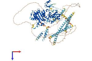 AlphaFold protein structure predicition of Mouse Recombinant Morc3 Protein, UniprotID F7BJB9