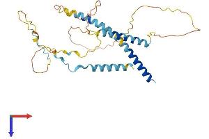AlphaFold protein structure predicition of Mouse Recombinant Mff Protein, UniprotID Q6PCP5