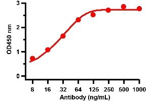 ELISA Validation with SARS-CoV-2 (COVID-19) Spike Recombinant ProteinAntibodies: SARS-CoV-2 (COVID-19) Spike antibody (cleavage site), ABIN6952962.