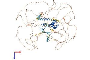 AlphaFold protein structure predicition of Human Recombinant PHC3 Protein, UniprotID Q8NDX5