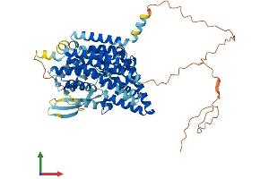 AlphaFold protein structure predicition of Mouse Recombinant Slc1a5 Protein, UniprotID P51912