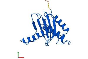 AlphaFold protein structure predicition of Human Recombinant TRAPPC1 Protein, UniprotID Q9Y5R8