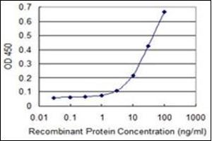 ELISA image for anti-Phosphorylase, Glycogen, Muscle (PYGM) antibody (ABIN952549)