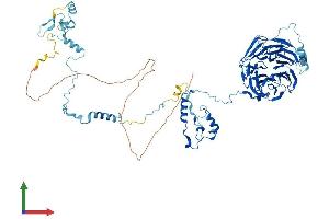 AlphaFold protein structure predicition of Mouse Recombinant Bop1 Protein, UniprotID P97452