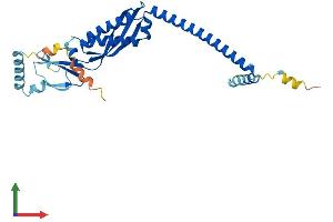 AlphaFold protein structure predicition of Mouse Recombinant Stom Protein, UniprotID P54116