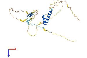 AlphaFold protein structure predicition of Mouse Recombinant Frat2 Protein, UniprotID Q8K025