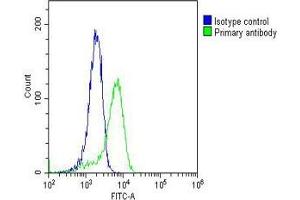 Overlay histogram showing PC-3 cells stained with (ABIN6242582 and ABIN6577145)(green line).