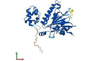 AlphaFold protein structure predicition of Mouse Recombinant Dmc1 Protein, UniprotID Q61880