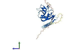 AlphaFold protein structure predicition of Mouse Recombinant Klrk1 Protein, UniprotID O54709