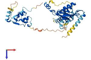 AlphaFold protein structure predicition of Human Recombinant SMARCB1 Protein, UniprotID Q12824