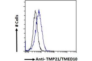ABIN190858 Flow cytometric analysis of paraformaldehyde fixed HeLa cells (blue line), permeabilized with 0. (TMED10 anticorps  (C-Term))