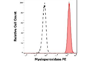 Separation of human neutrophil granulocytes (red-filled) from lymphocytes (black-dashed) in flow cytometry analysis (intracellular staining) of human peripheral whole blood stained using anti-human Myeloperoxidase (MPO421-8B2) PE antibody (10 μL reagent / 100 μL of peripheral whole blood). (Myeloperoxidase anticorps  (PE))