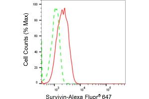 Flow cytometric analysis of Survivin expression in C2C12 cells using Survivin antibody (ABIN7797728), 1:2,000).