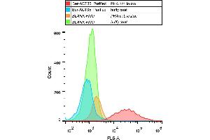 Flow cytometry analysis (surface staining) of human PHA-activated leukocytes with anti-human CD134 (Ber-ACT35) purified, GAM APC.