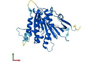 AlphaFold protein structure predicition of Human Recombinant ELP6 Protein, UniprotID Q0PNE2