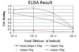 Red: Control Antigen (100 ng), Purple: Antigen (10 ng), Green: Antigen (50 ng), Blue: Antigen (100 ng),