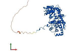 AlphaFold protein structure predicition of Human Recombinant GPT2 Protein, UniprotID Q8TD30
