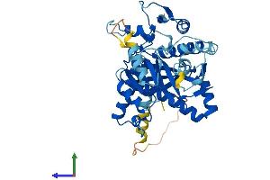 AlphaFold protein structure predicition of Mouse Recombinant Ttll1 Protein, UniprotID Q91V51