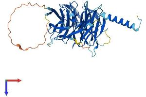 AlphaFold protein structure predicition of Mouse Recombinant Preb Protein, UniprotID Q9WUQ2