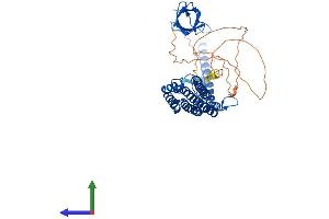 AlphaFold protein structure predicition of Mouse Recombinant Pacsin2 Protein, UniprotID Q9WVE8