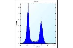 TM55B Antibody (C-term) (ABIN657095 and ABIN2846253) flow cytometric analysis of Ramos cells (right histogram) compared to a negative control cell (left histogram).