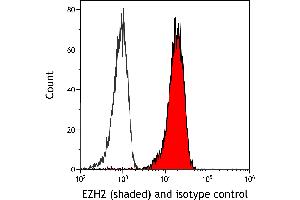 Flow Cytometry (FACS) image for anti-Enhancer of Zeste Homolog 2 (EZH2) (AA 1-154) antibody (ABIN7795766) (Recombinant EZH2 anticorps  (AA 1-154))