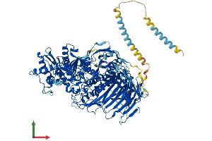 AlphaFold protein structure predicition of Human Recombinant MAN2A2 Protein, UniprotID P49641