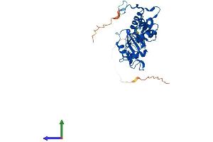 AlphaFold protein structure predicition of Human Recombinant MRPL4 Protein, UniprotID Q9BYD3